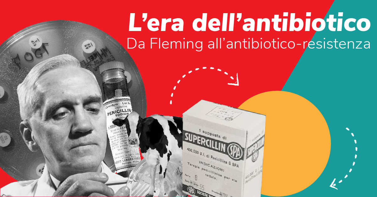 "DUE PUNTI": LABORATORI PER BAMBINI E RAGAZZI IL 20 OTTOBRE 