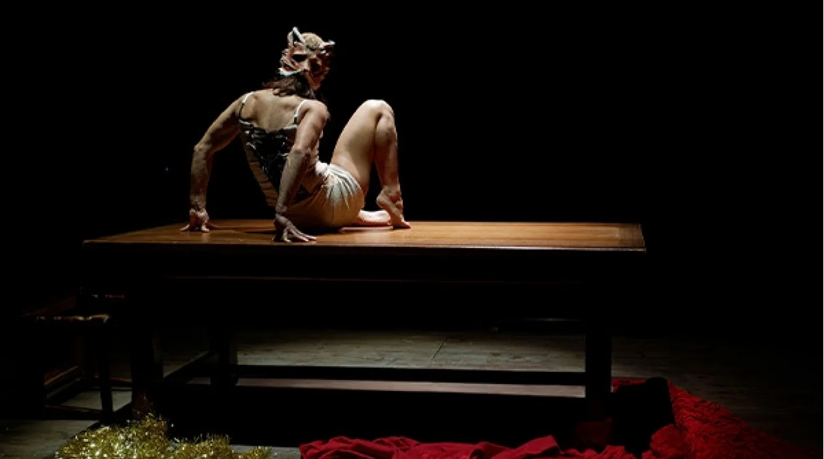  TORNA IL CIRCO CONTEMPORANEO 